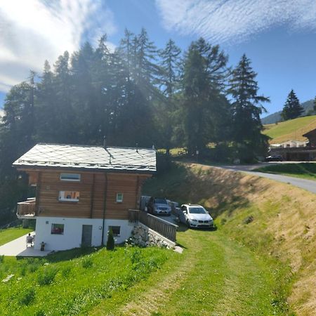 Chalet Matterhornsicht Naters Buitenkant foto